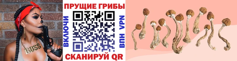Псилоцибиновые грибы мухоморы  Сковородино 